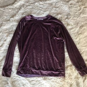 Velvet Long Sleeve Sweater